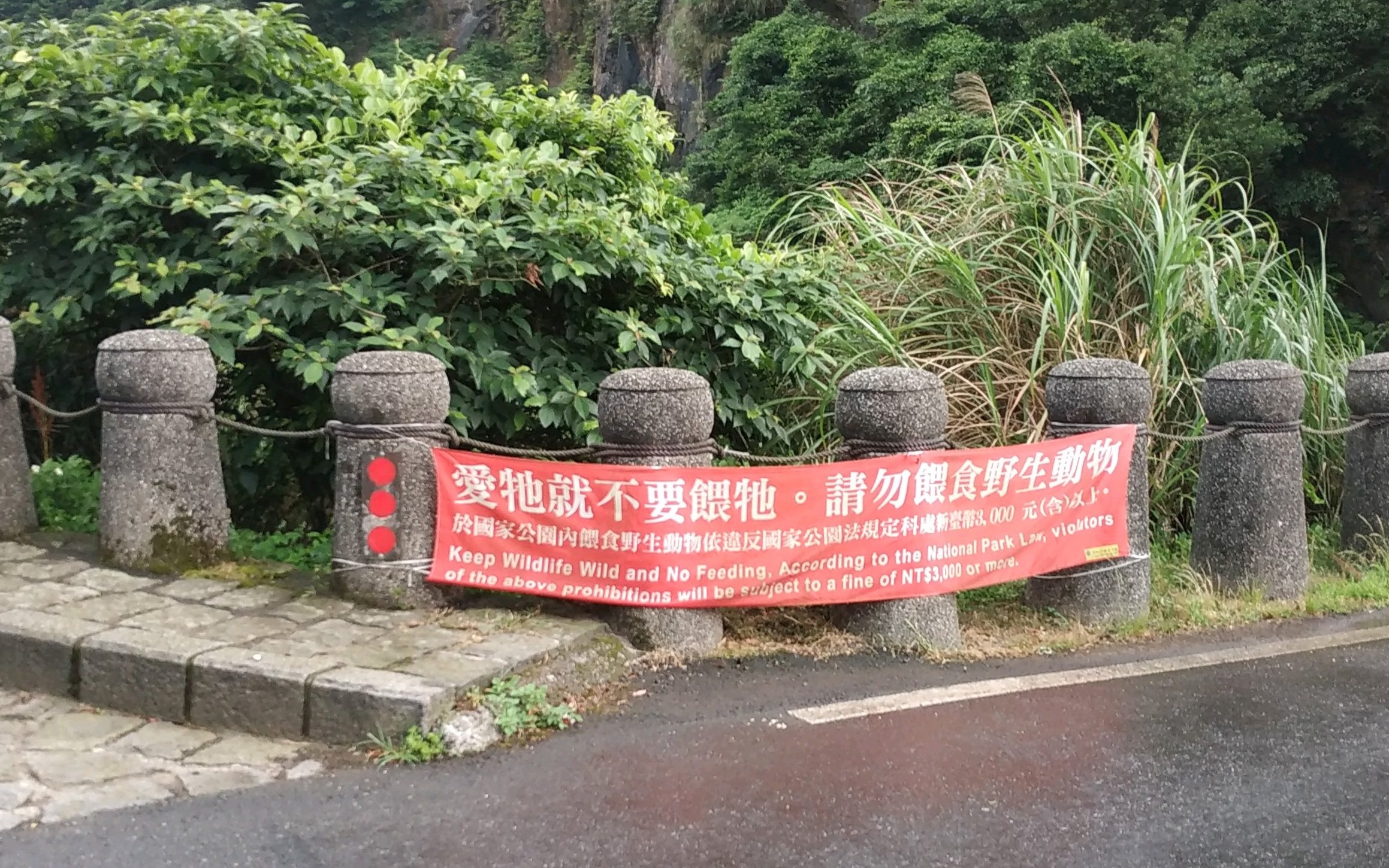 園區內“愛牠就不要餵牠。請勿餵食野生動物”的警示布條(陽明山國家公園管理處提供)
