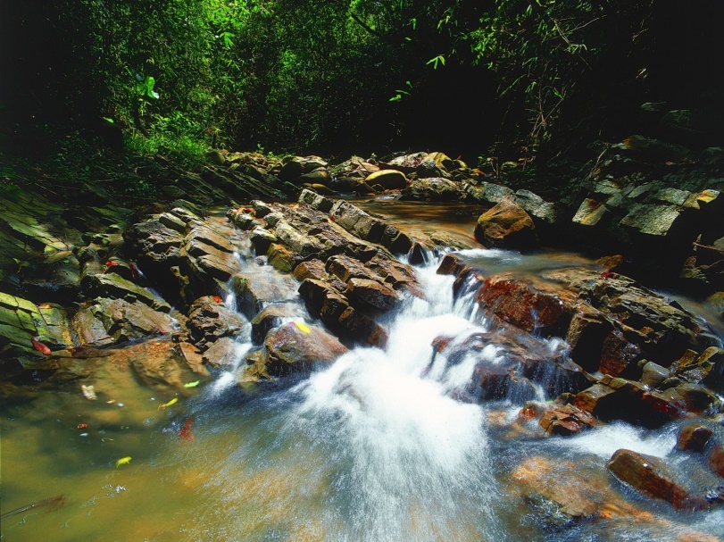 欖仁溪(墾丁國家公園管理處提供)
