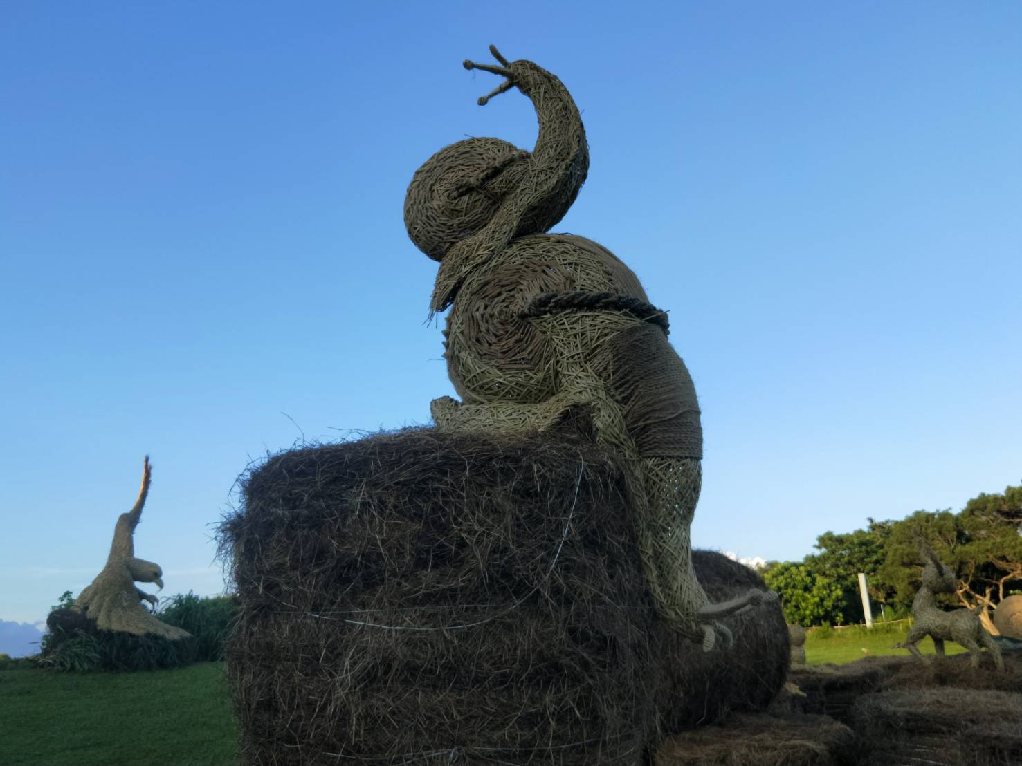 「蝸目相看」-班卡拉蝸牛(墾丁國家公園管理處提供)
