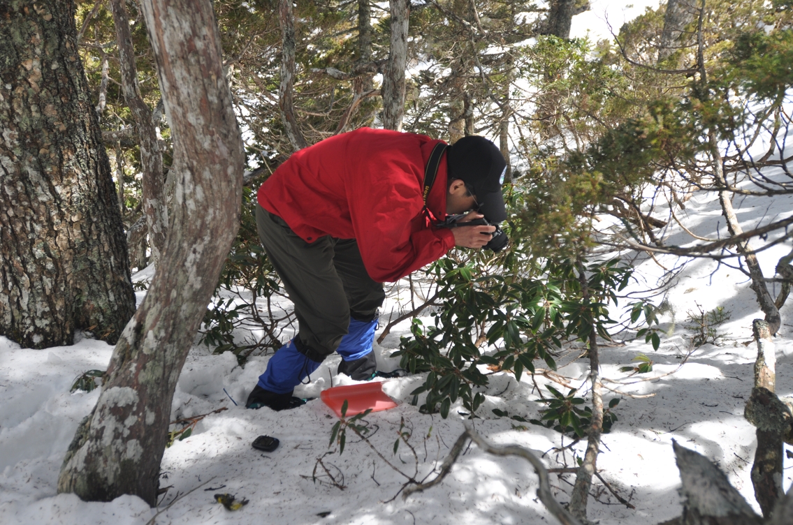 研究團隊調查時的照片(雪霸國家公園管理處提供)
