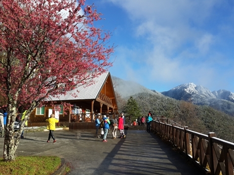 雪山登山口視野遼闊，可眺望遠方大山(雪霸國家公園管理處提供)
