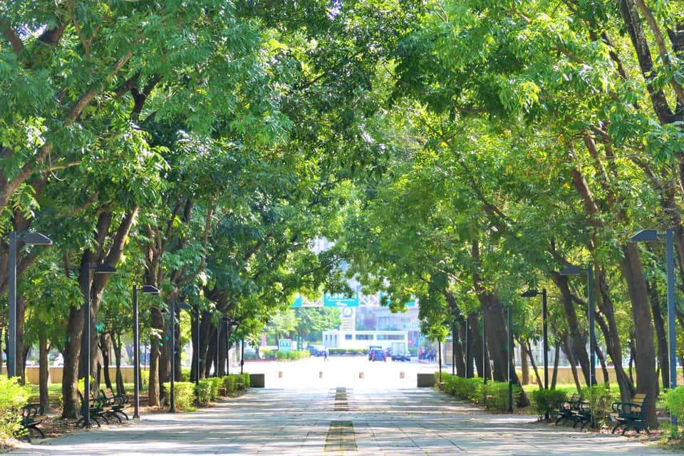 高雄都會公園的大片綠意樹木，孕育出各種生態系與生物種類(國家自然公園管理處提供)
