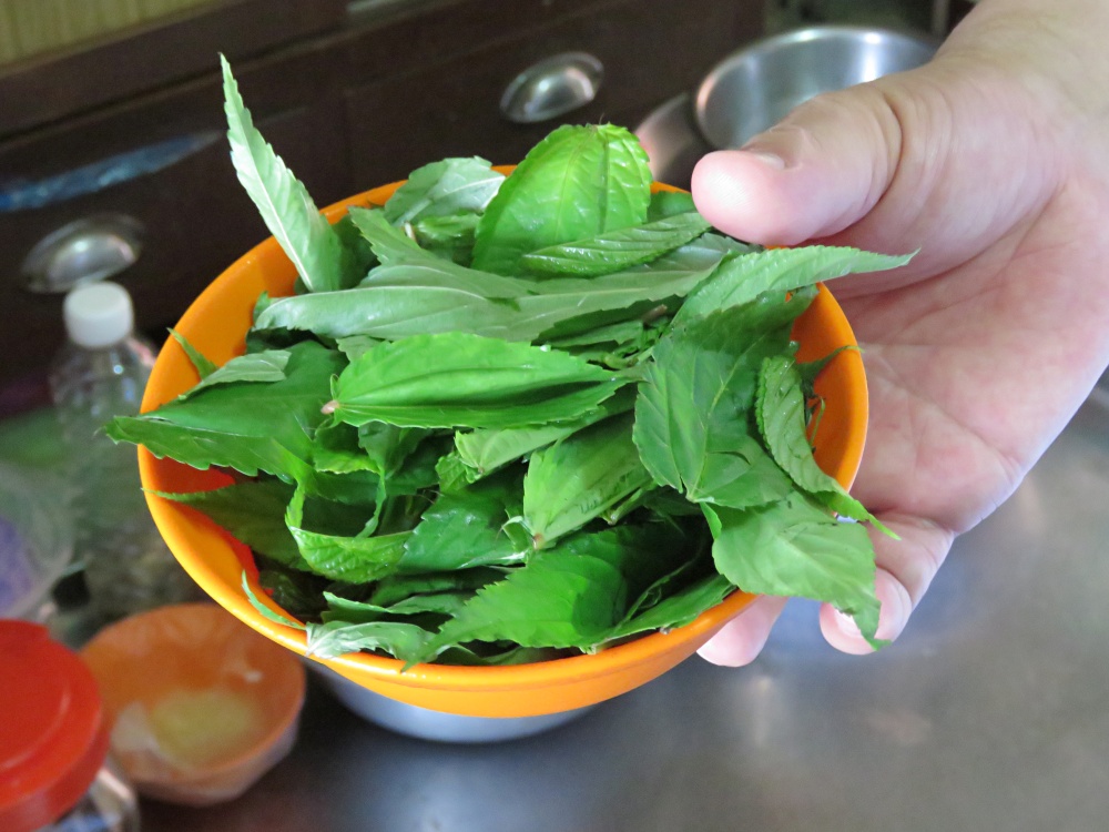 台江地區居民時常烹煮野菜，本圖為黃麻葉(台江國家公園管理處提供)
