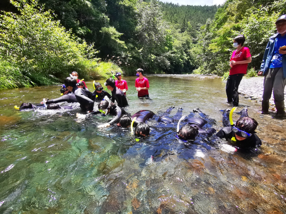 年輕學員們身穿防寒衣，浸泡在冷冽的七家灣溪裡，
低頭埋入水中學習調查鮭魚數量，身體力行參與科學研究計畫
(雪霸國家公園管理處提供)
