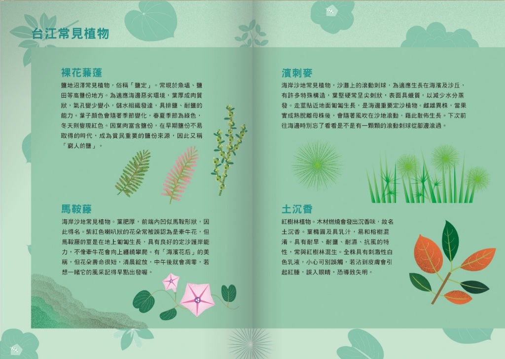 書末附錄有針對繪本中提及的台江常見植物，做進一步介紹