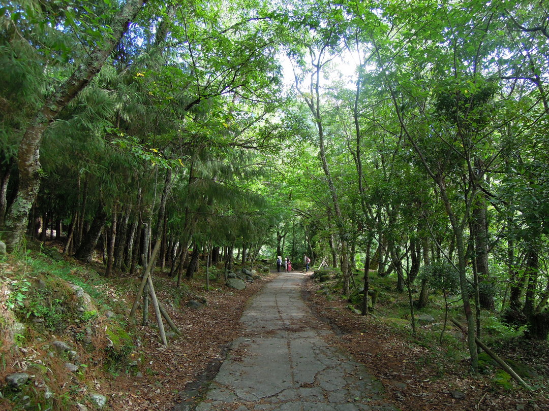 桃山瀑布步道 (雪霸國家公園管理處提供，張燕伶攝)