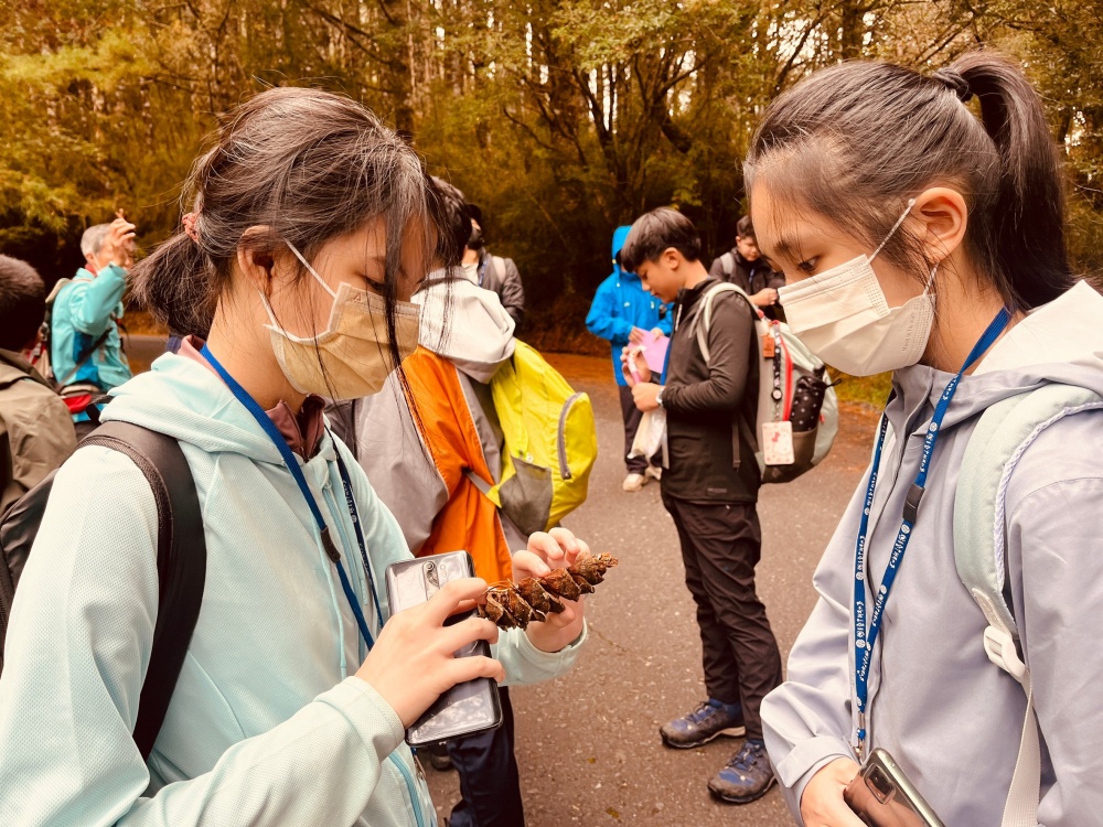 學生拾起毬果互相討論其構造，並試著找尋問題且深入探討。(玉山國家公園管理處提供)