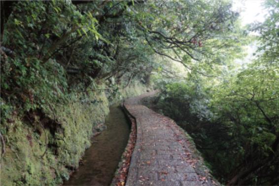 步道與水圳相鄰(陽明山國家公園管理處提供)