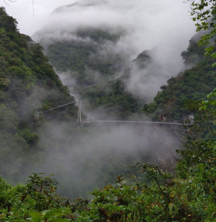  從環流丘遠望雲霧中的布洛灣吊橋(太魯閣國家公園管理處提供)