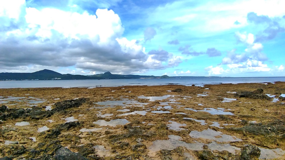 每當海水漲退變化，露出海岸區域的潮間帶被譽為環境教育的最佳教室！本圖為後壁湖潮間帶(墾丁國家公園管理處提供)