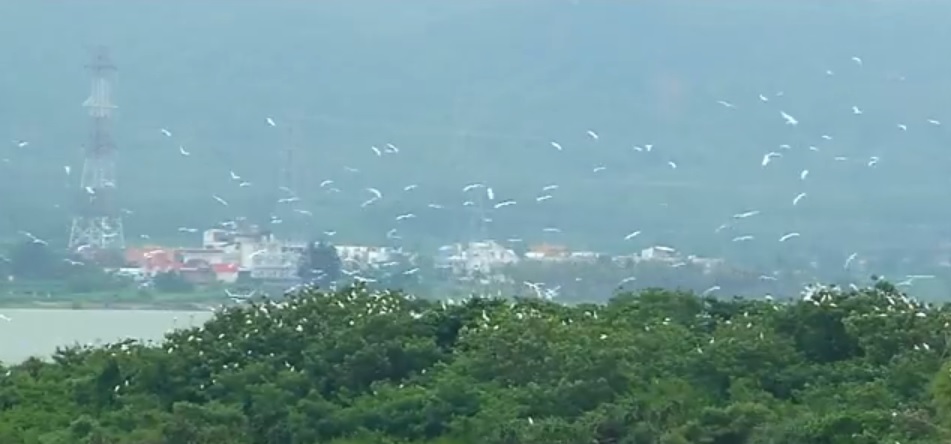 墾丁國家公園積極進行濕地的保護，以維持候鳥們原有的生存空間和食物來源(墾丁國家公園管理處提供)