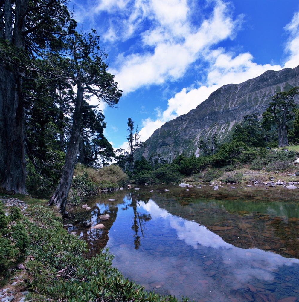 翠池湖面雖然不大，但是湖水是活的，大安溪源頭正在這裏(雪霸國家公園管理處提供)