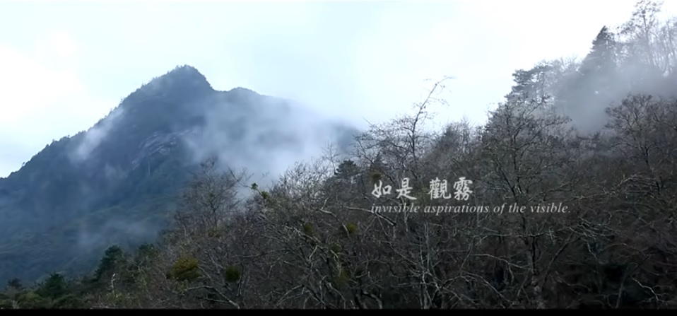 走進觀霧，只有用心靈才能穿越雲霧，(雪霸國家公園管理處提供)