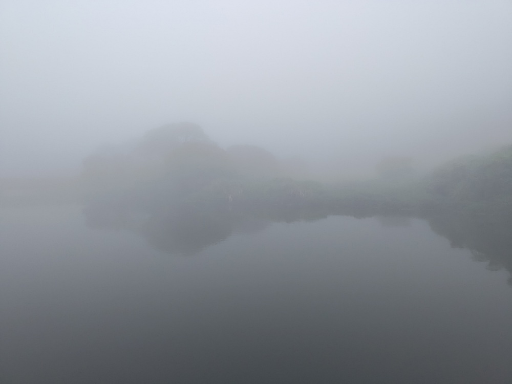 籠罩在雲霧中的大屯自然公園，宛如仙境
 (陽明山國家公園管理處提供，張雅雯攝)

