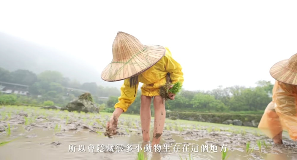 陽明山有很多農人，以友善土地的方式來耕作
(陽明山國家公園管理處提供)