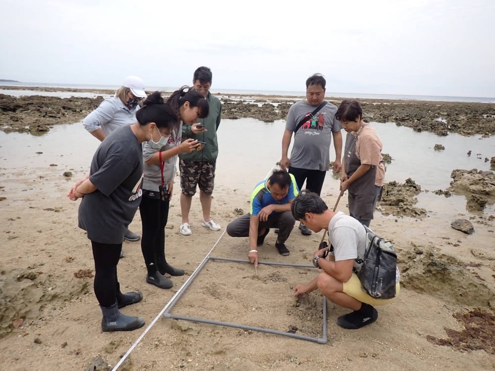 萬里桐建立巡守隊,也開始進行潮間帶監測調查(蛙趣自然生態顧問有限公司提供)