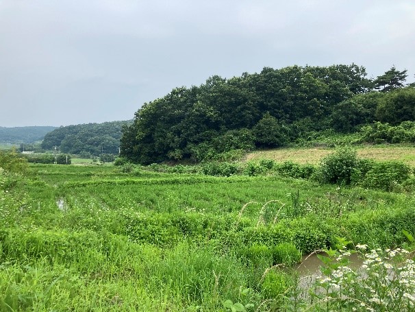 里山環境。聚落、耕地、溪流與山林交雜的地景(墾丁國家公園管理處提供-曾建偉攝)