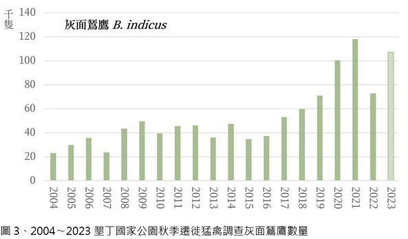 2004~2023 年墾丁國家公園秋季遷徙猛禽調查─灰面鵟鷹數量統計(墾丁國家公園管理處提供)