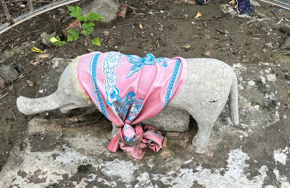 台江厭勝物走讀之旅，能引領民眾認識蘊含神奇力量的在地「寶貝」。本圖為安置於曾文溪舊河道附近，用來鎮水的石象(台江國家公園管理處提供)
