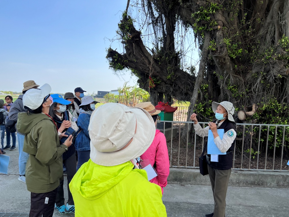 台江厭勝物走讀之旅的解說員，帶領民眾實地走訪，分享七星榕與五營的故事(台江國家公園管理處提供)
