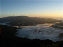 雲海簇擁在屏風山、奇萊、北二段、合歡群峰之間，被夕陽映照成橘紅色。