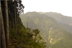 野馬瞰山步道遠眺景觀