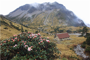 南湖杜鵑.南湖山屋與南湖大山