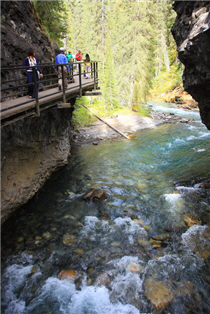 約翰斯頓峽谷（Johnston Canyon）