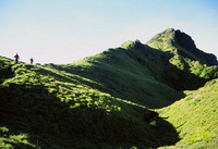 高山草原