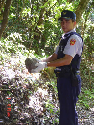 陽明山國家公園警察隊野放穿山甲