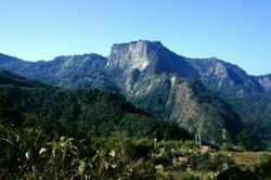 細道邦山 (陳理德攝)