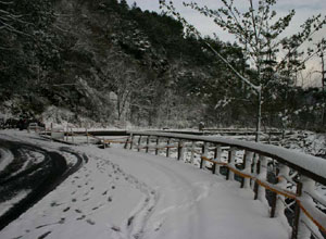 平日的觀魚台是看櫻花鉤吻鮭的好地點 現在卻被白雪取代了