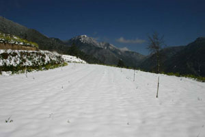 雪無限的延伸 直至桃山腳下。