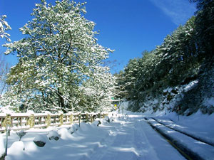 新中橫95K停車場雪景