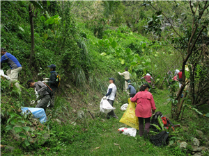 Taroko National Park mobilizes against mile-a minute weed and calls on the public to join the fight against invasive species