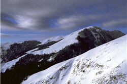 Snow on Mt Hehuan ( by Lin Mao-yao )