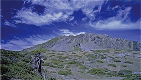 Dai was given the Nanhu Mountain Medal, which is given to those who have served duties for more than 100 times.Shown here is Mt. Nanhu