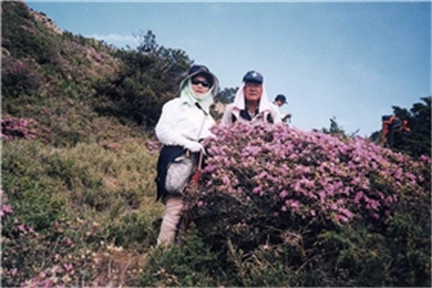 Mr. and Mrs. Dai partake in the high-mountain plant study camp in the flower season