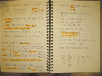 Dense notes of guidance; this is only a tiny part of Ku-ling’s numerous private notes.