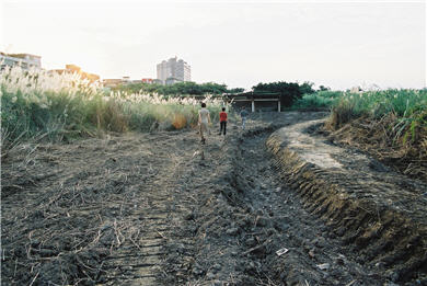 The initial phase of the wetland located beside Jhong-jheng Bridge. During the preparation, tracks of excavators could be seen on the ground