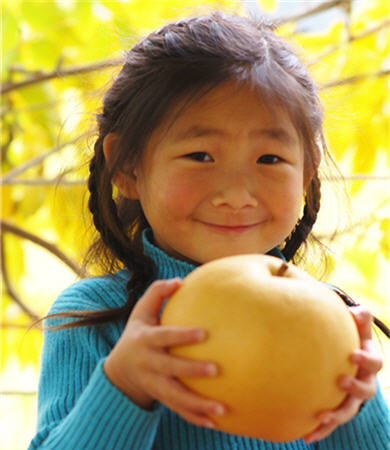 The pears which are planted by A-bao's aunt taste delicious.