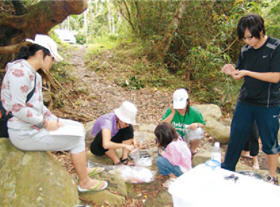 Liu and his team insist on fighting for the conservation of land crabs with enthusiasm