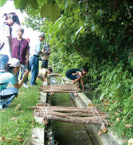 KTNP has held activities every summer to promote the conservation of land crabs since 2003