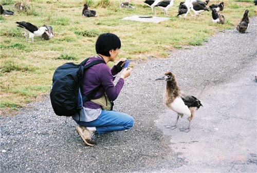 Observing and recording bird's behavior characteristics and habits are important procedures to establish bird database