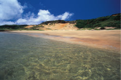 Wind blown sandy coast