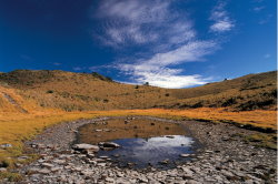 Dashueiku grassland