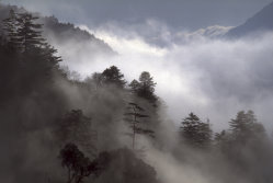 Floating clouds and mist