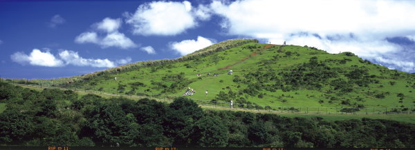 Cingtiangang grassland