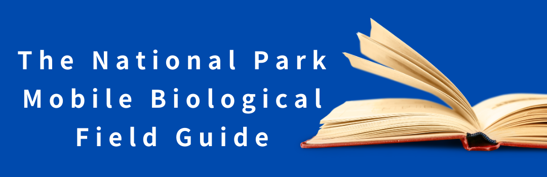 The National Park Mobile Biological Field Guide