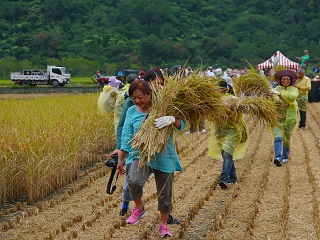 Harvest completed.